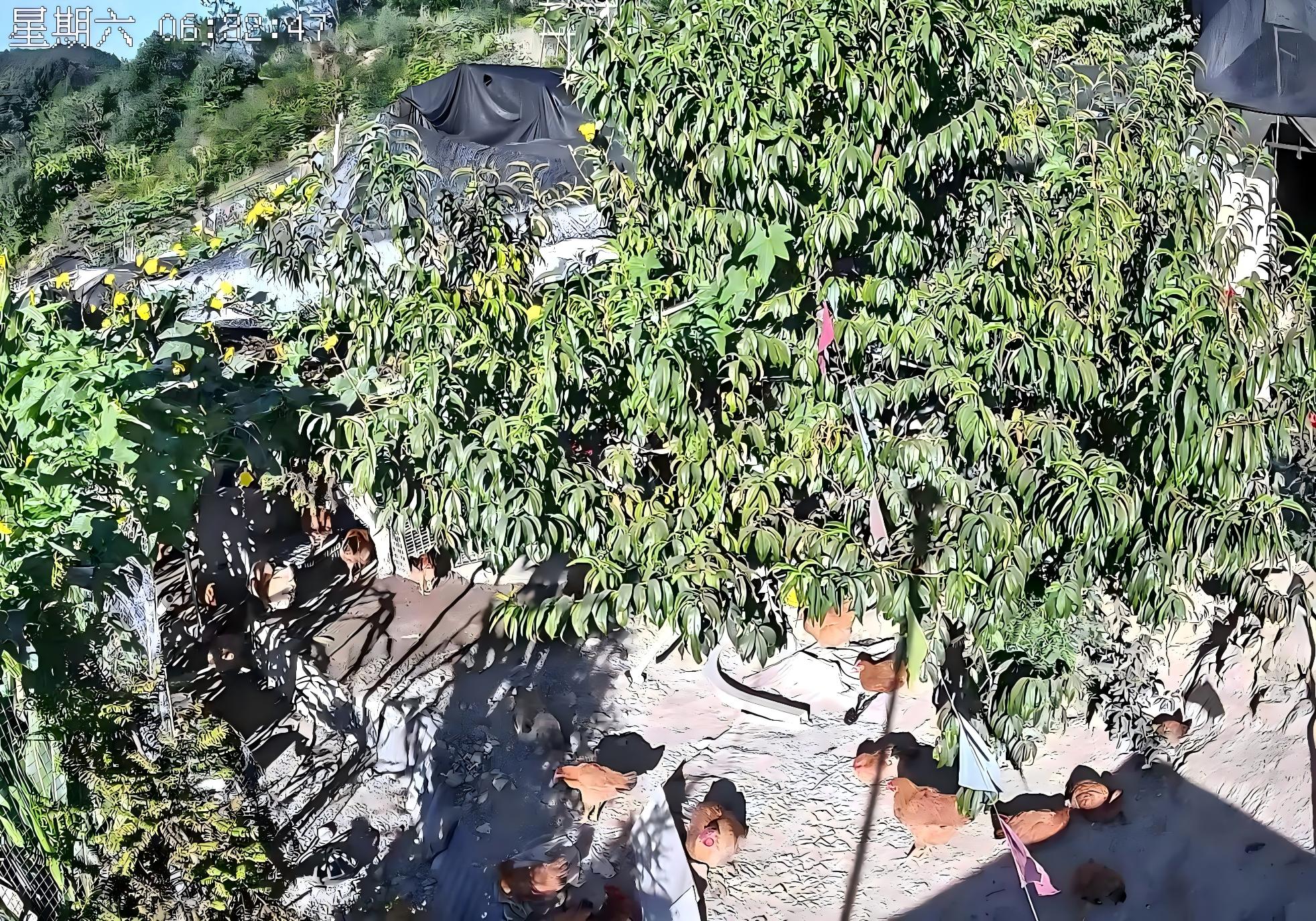 山上鸡场的广角图